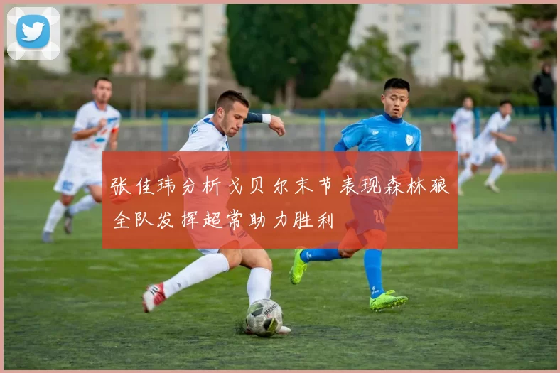 张佳玮分析戈贝尔末节表现森林狼全队发挥超常助力胜利