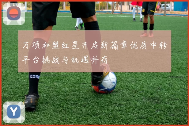 万项加盟红星开启新篇章优质中转平台挑战与机遇并存