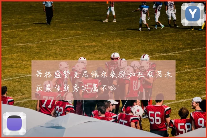 蒂格盛赞克尼佩尔表现如狂潮若未获最佳新秀实属不公