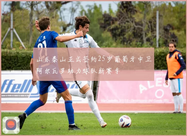 山东泰山正式签约25岁葡萄牙中卫阿尔瓦罗助力球队新赛季