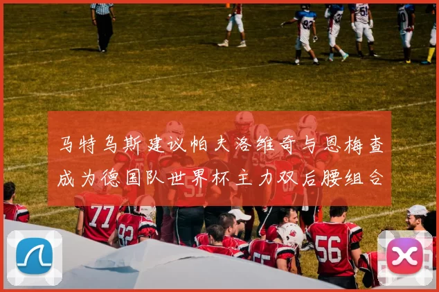 马特乌斯建议帕夫洛维奇与恩梅查成为德国队世界杯主力双后腰组合