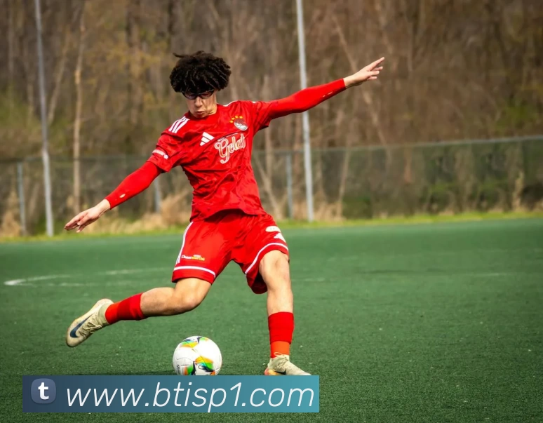 bti体育平台APP 封面图